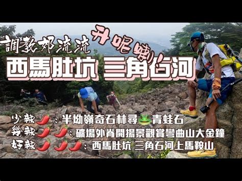 狐狸過水|半坳嶺, 西馬肚坑, 三角石河, 牛押山, 吊手岩 (白角小組)**********